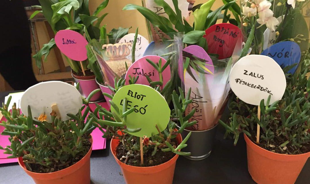 Szeresd a növényeket! Példaértékű kezdeményezés egy budapesti általános iskolában